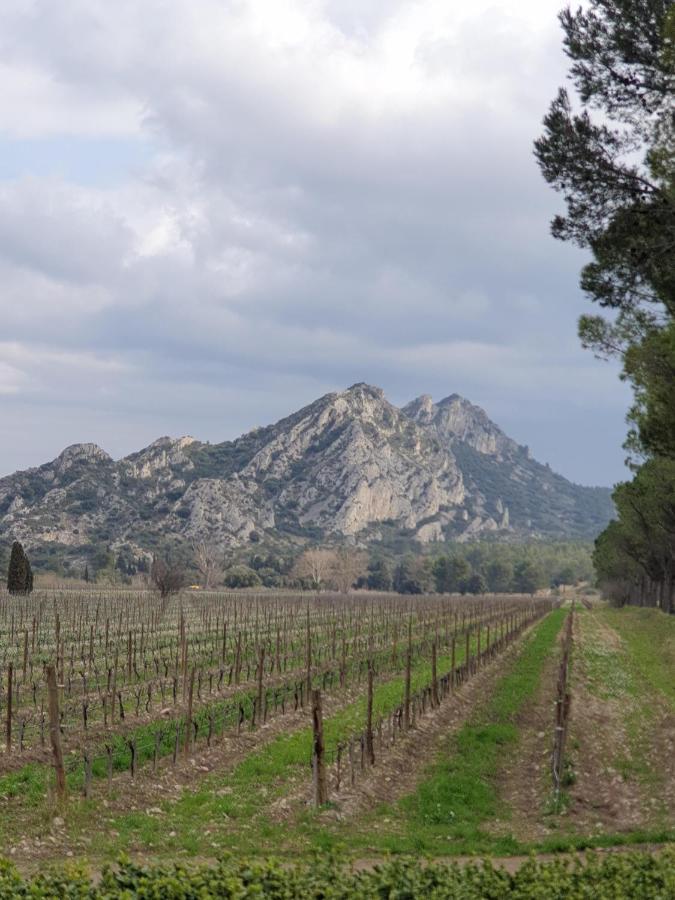 Les Estrelles Leilighet Saint-Rémy-de-Provence Eksteriør bilde
